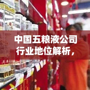 中国五粮液公司行业地位解析，排名揭秘与影响力评估