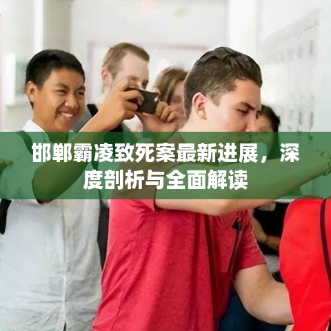 邯郸霸凌致死案最新进展，深度剖析与全面解读