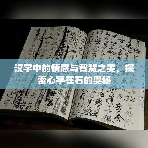 汉字中的情感与智慧之美，探索心字在右的奥秘