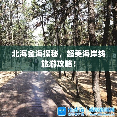 北海金海探秘，超美海岸线旅游攻略！