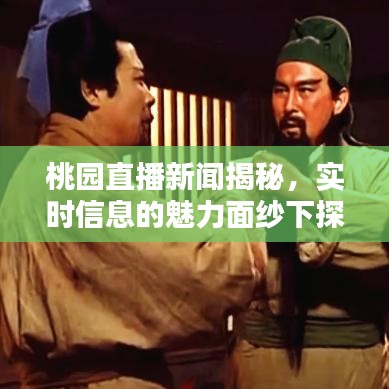 桃园直播新闻揭秘，实时信息的魅力面纱下探最新动态