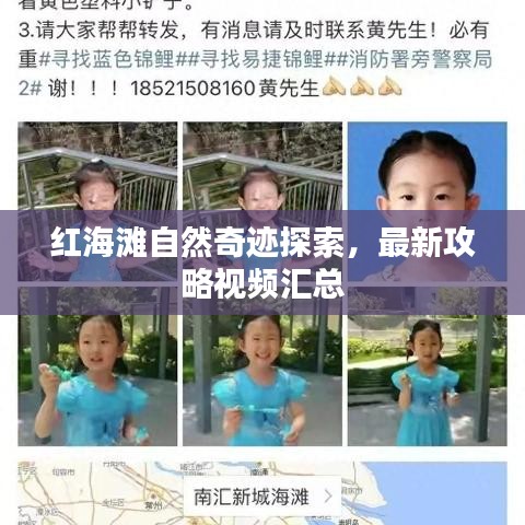 红海滩自然奇迹探索，最新攻略视频汇总