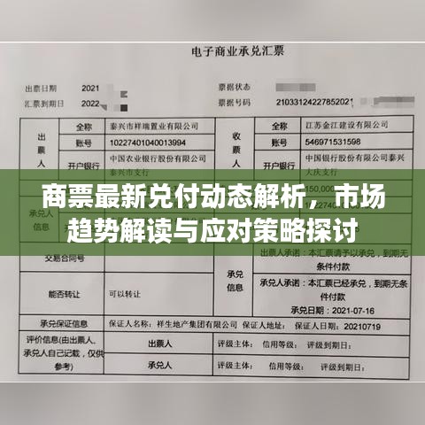 商票最新兑付动态解析，市场趋势解读与应对策略探讨