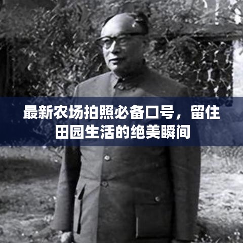 最新农场拍照必备口号，留住田园生活的绝美瞬间