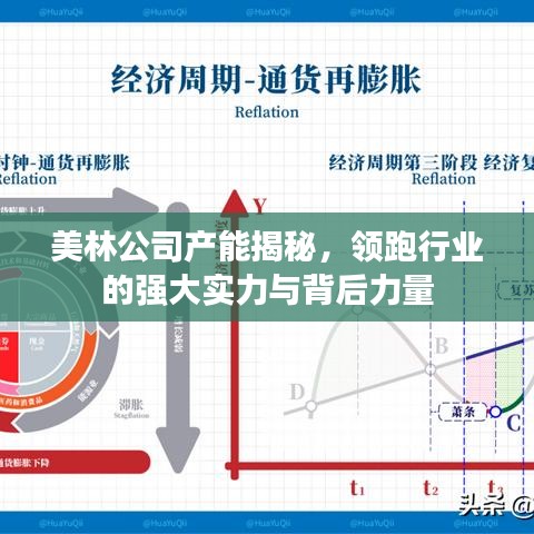 美林公司产能揭秘，领跑行业的强大实力与背后力量