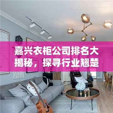 嘉兴衣柜公司排名大揭秘，探寻行业翘楚的神秘奥秘！