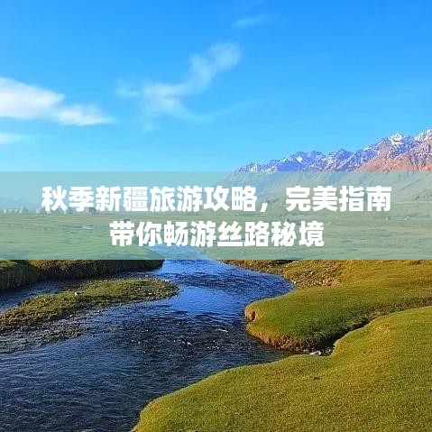 秋季新疆旅游攻略，完美指南带你畅游丝路秘境