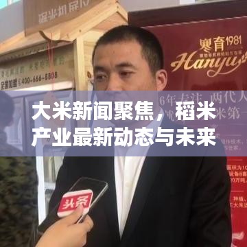 大米新闻聚焦，稻米产业最新动态与未来趋势探索