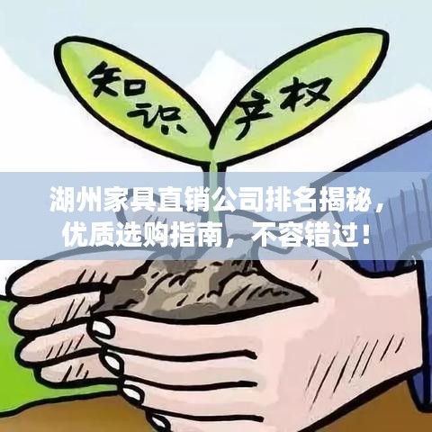 湖州家具直销公司排名揭秘，优质选购指南，不容错过！