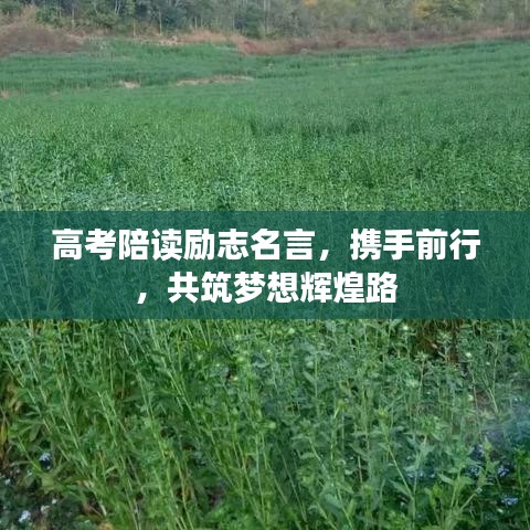 高考陪读励志名言，携手前行，共筑梦想辉煌路