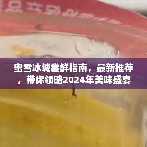 蜜雪冰城尝鲜指南，最新推荐，带你领略2024年美味盛宴！