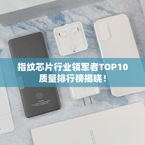 指纹芯片行业领军者TOP10质量排行榜揭晓！