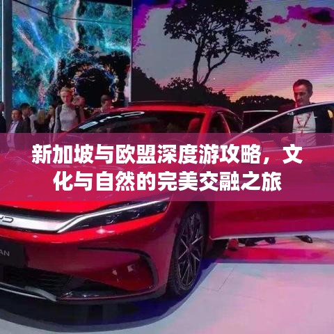 新加坡与欧盟深度游攻略，文化与自然的完美交融之旅