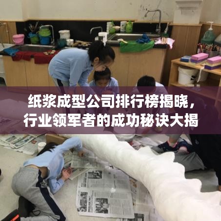纸浆成型公司排行榜揭晓，行业领军者的成功秘诀大揭秘