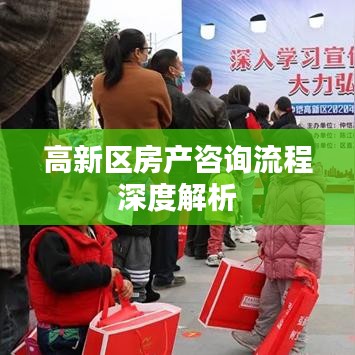 高新区房产咨询流程深度解析