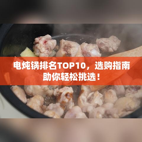 电炖锅排名TOP10，选购指南助你轻松挑选！