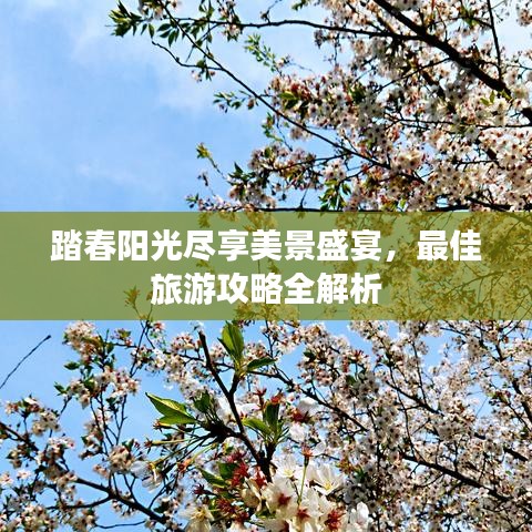 踏春阳光尽享美景盛宴，最佳旅游攻略全解析