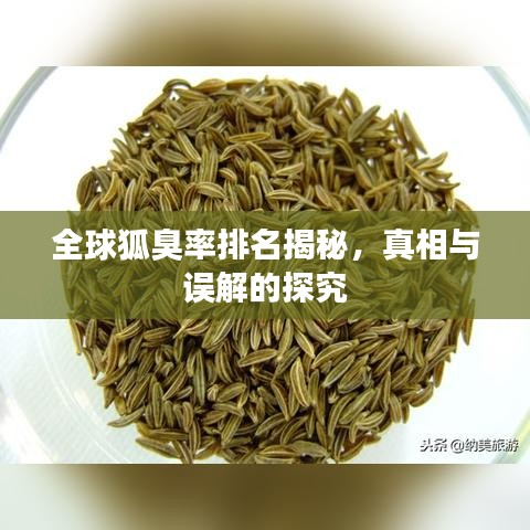 全球狐臭率排名揭秘，真相与误解的探究