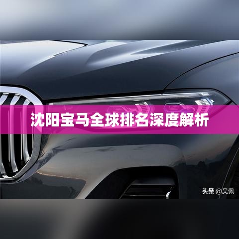 沈阳宝马全球排名深度解析