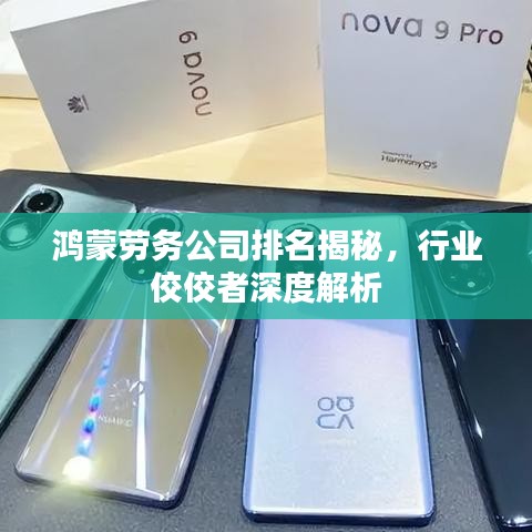 鸿蒙劳务公司排名揭秘，行业佼佼者深度解析