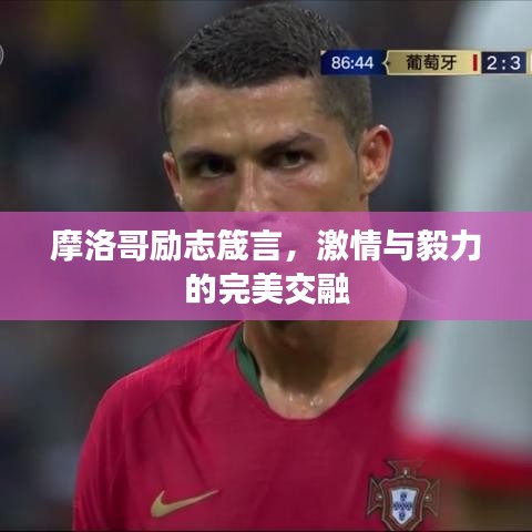 摩洛哥励志箴言，激情与毅力的完美交融
