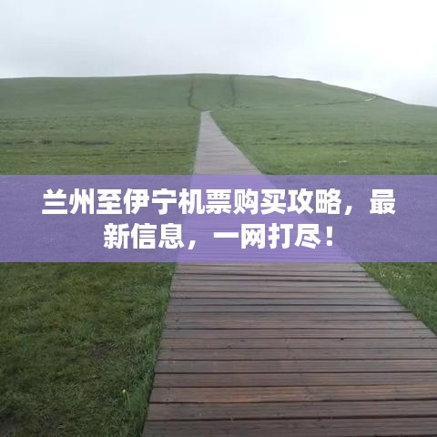 兰州至伊宁机票购买攻略，最新信息，一网打尽！