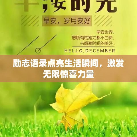 励志语录点亮生活瞬间，激发无限惊喜力量
