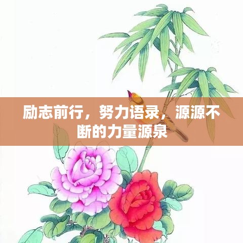 励志前行，努力语录，源源不断的力量源泉