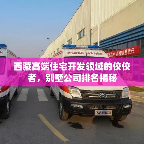 西藏高端住宅开发领域的佼佼者，别墅公司排名揭秘