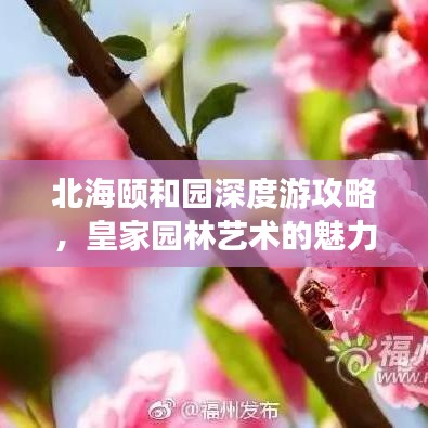 北海颐和园深度游攻略，皇家园林艺术的魅力探索