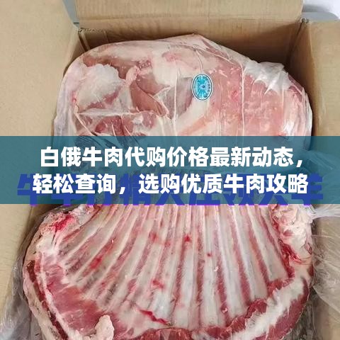 白俄牛肉代购价格最新动态，轻松查询，选购优质牛肉攻略