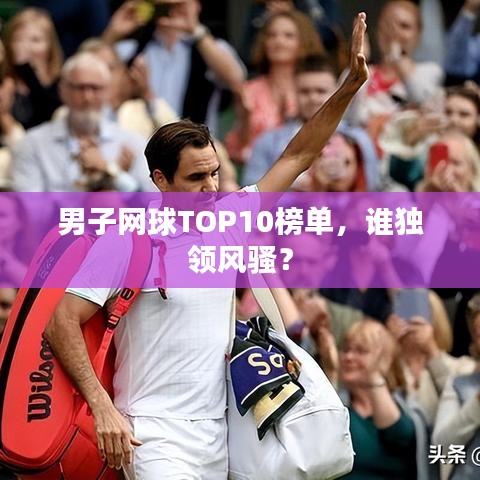 男子网球TOP10榜单，谁独领风骚？