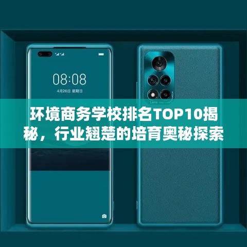 环境商务学校排名TOP10揭秘，行业翘楚的培育奥秘探索
