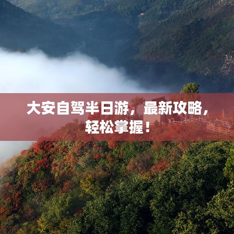 大安自驾半日游，最新攻略，轻松掌握！