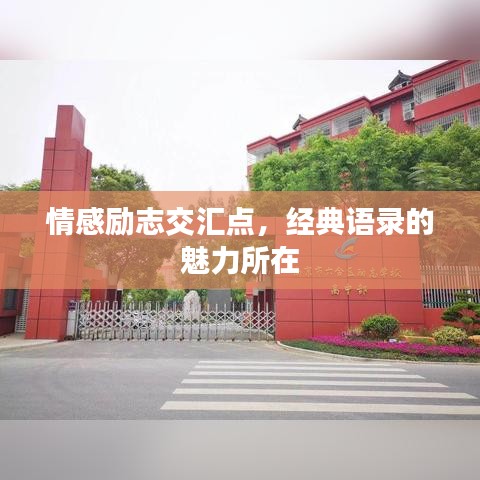 情感励志交汇点，经典语录的魅力所在