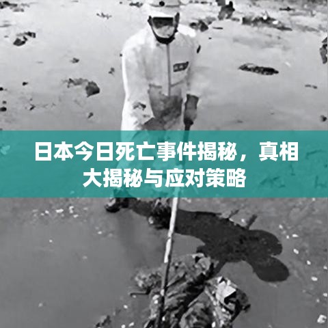 日本今日死亡事件揭秘，真相大揭秘与应对策略