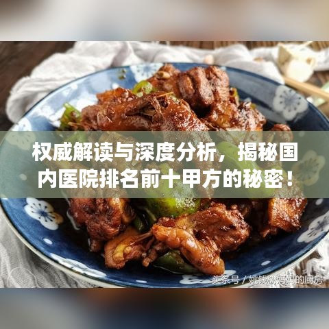 权威解读与深度分析，揭秘国内医院排名前十甲方的秘密！