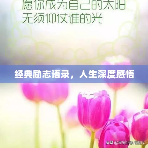 经典励志语录，人生深度感悟