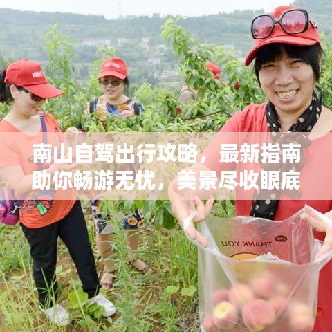南山自驾出行攻略，最新指南助你畅游无忧，美景尽收眼底