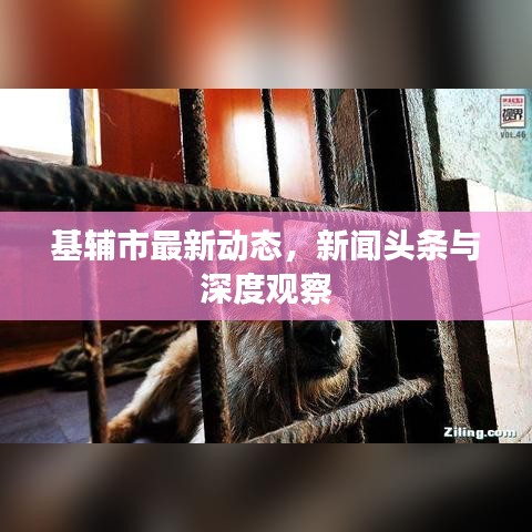 基辅市最新动态，新闻头条与深度观察