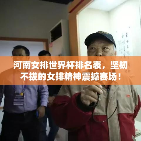 河南女排世界杯排名表，坚韧不拔的女排精神震撼赛场！