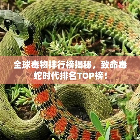 全球毒物排行榜揭秘，致命毒蛇时代排名TOP榜！