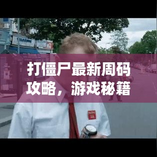 打僵尸最新周码攻略，游戏秘籍与体验大揭秘！
