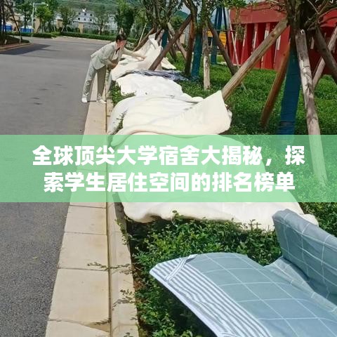 全球顶尖大学宿舍大揭秘，探索学生居住空间的排名榜单