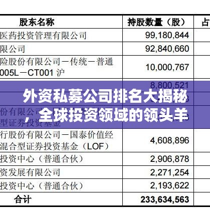 外资私募公司排名大揭秘，全球投资领域的领头羊
