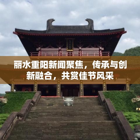 丽水重阳新闻聚焦，传承与创新融合，共赏佳节风采