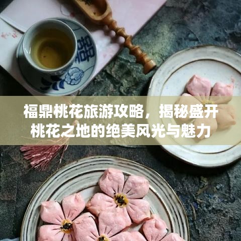 福鼎桃花旅游攻略，揭秘盛开桃花之地的绝美风光与魅力