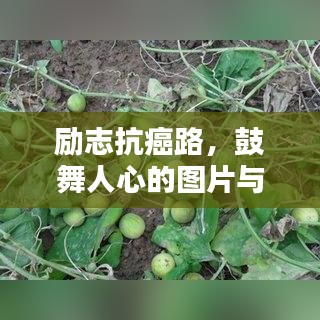 励志抗癌路，鼓舞人心的图片与语录相伴前行