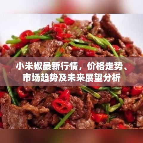 小米椒最新行情，价格走势、市场趋势及未来展望分析